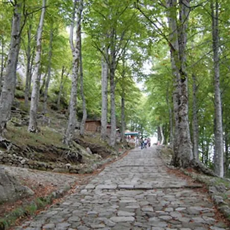 Bed & Breakfast La Casa Al Piccolo Borgo Vallo della Lucania